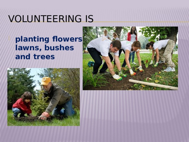 Volunteering is planting flowers, lawns, bushes and trees 