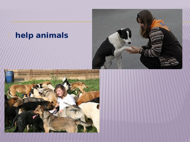 help animals 