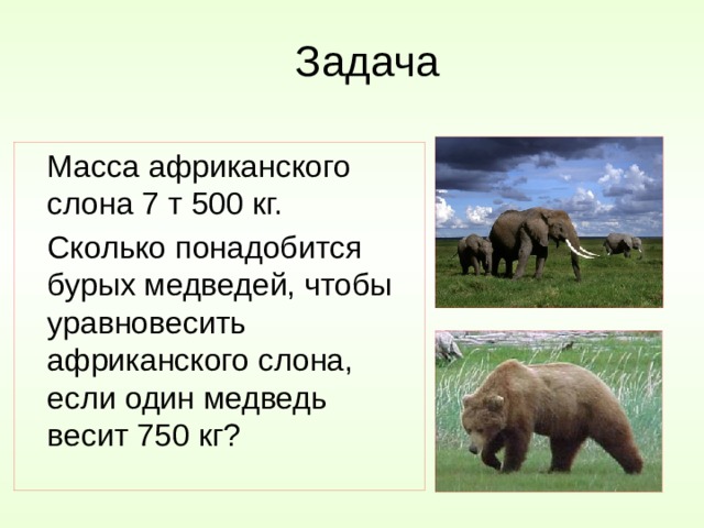 Задача  Масса африканского слона 7 т 500 кг.  Сколько понадобится бурых медведей, чтобы уравновесить африканского слона, если один медведь весит 750 кг? 