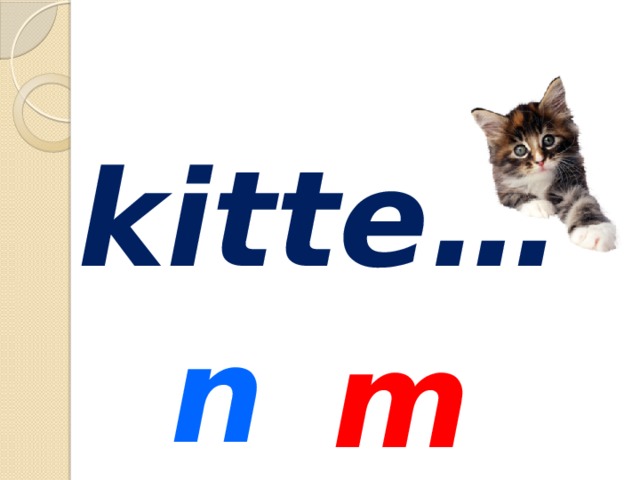 kitte… n m 