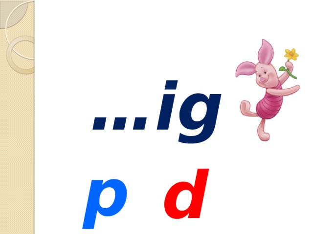 … ig p d 