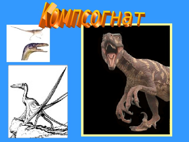 Когда жили динозавры 1 класс рабочий лист. Динозавры 1 класс. Проект про динозавров 1 класс окружающий мир. Проект динозавры 1 класс по окружающему миру. Окружающий мир 1 класс тема динозавры.