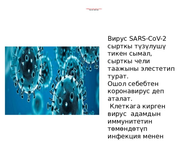        КОВИД-19 оорусунун козгогучу  Причина инфекции    Вирус SARS-СoV-2 сырткы түзүлушү тикен сымал,  сырткы чели таажыны элестетип турат.  Ошол себебтен коронавирус деп аталат.  Клеткага кирген вирус адамдын иммунитетин төмөндөтүп  инфекция менен күрөөшүүгө тоскоолдук жаратат. 