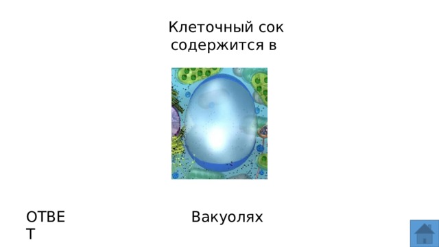 Клеточный сок вакуолей содержит. Клеточный сок это в биологии. Вакуоли с клеточным соком. Клеточный сок содержится в.