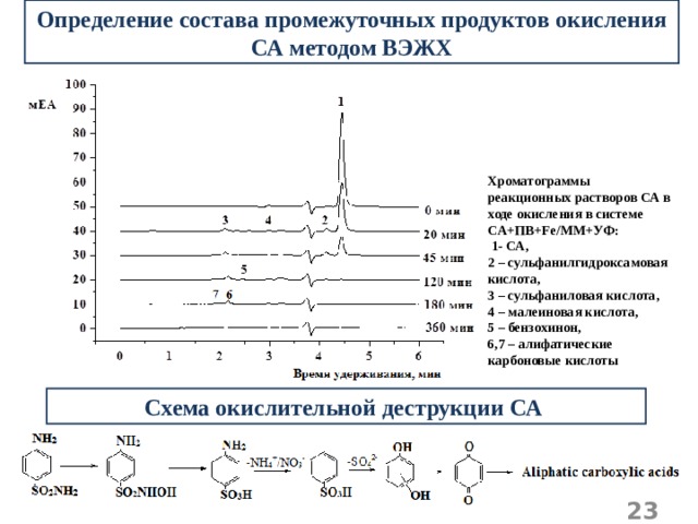 Определение состава промежуточных продуктов окисления СА методом ВЭЖХ Хроматограммы реакционных растворов СА в ходе окисления в системе СА+ПВ+ Fe / MM +УФ:  1- СА, 2 – сульфанилгидроксамовая кислота, 3 – сульфаниловая кислота, 4 – малеиновая кислота, 5 – бензохинон, 6,7 – алифатические карбоновые кислоты Схема окислительной деструкции СА   