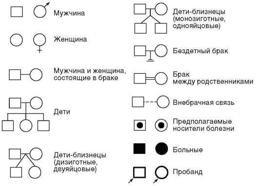 Графическое изображение родословной