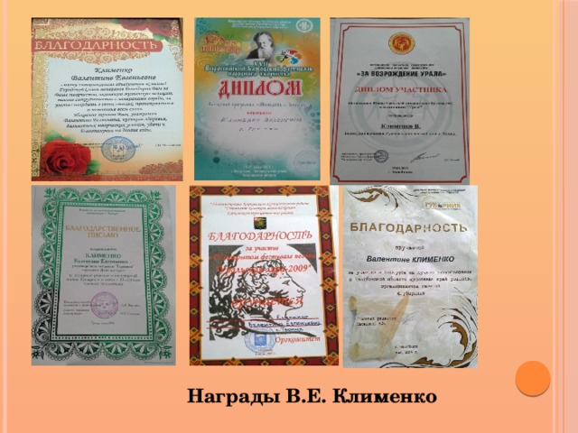  Награды В.Е. Клименко 