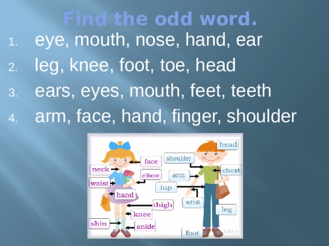 Find the odd word.  eye, mouth, nose, hand, ear  leg, knee, foot, toe, head  ears, eyes, mouth, feet, teeth  arm, face, hand, finger, shoulder 