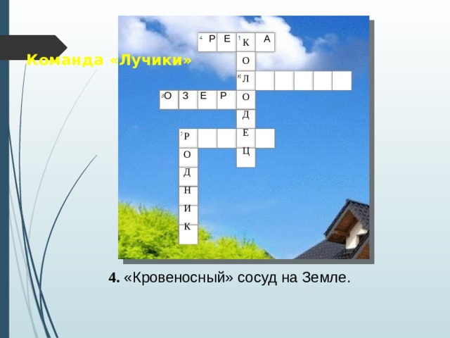  Р Е А К О Л О Д Е Ц Команда «Лучики»  О З Е Р Р О Д Н И К 4. «Кровеносный» сосуд на Земле.  