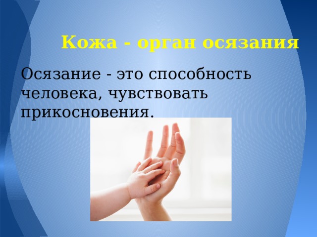 Кожа - орган осязания Осязание - это способность человека, чувствовать прикосновения. 