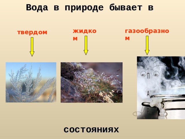 Вода в природе бывает в газообразном жидком твердом состояниях 