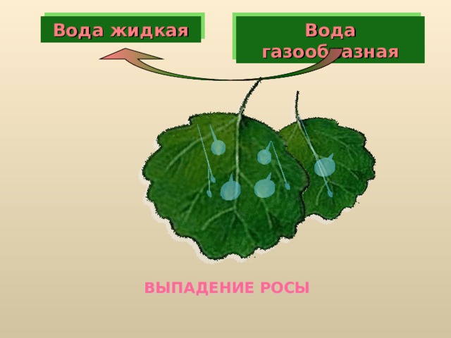 Вода газообразная Вода жидкая ВЫПАДЕНИЕ РОСЫ 