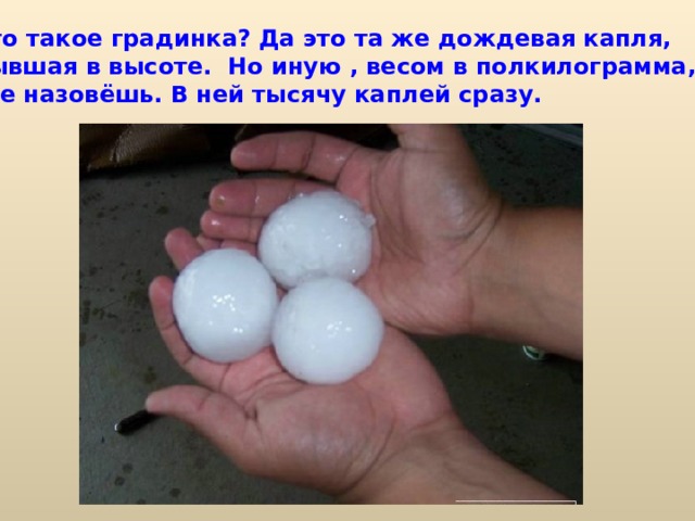  А что такое градинка? Да это та же дождевая капля, застывшая в высоте. Но иную , весом в полкилограмма, так не назовёшь. В ней тысячу каплей сразу. 