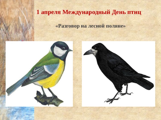1 апреля Международный День птиц  «Разговор на лесной поляне» 
