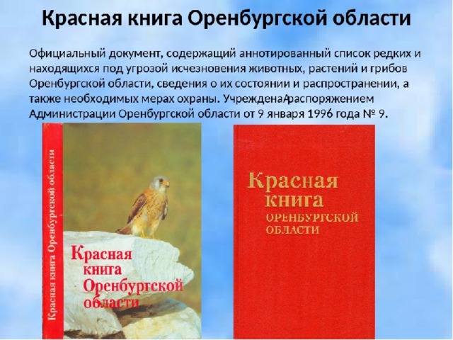 Животные красной книги оренбургской области фото