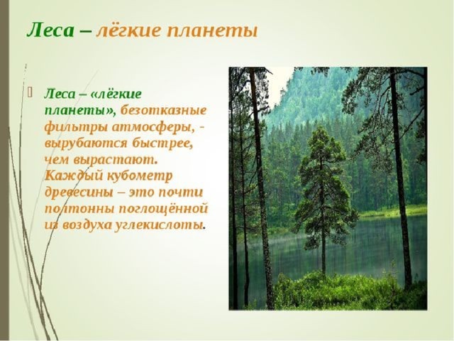 Легкие нашей планеты проект 10 класс география