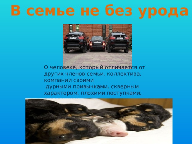 В семье не без урода О человеке, который отличается от других членов семьи, коллектива, компании своими  дурными привычками, скверным характером, плохими поступками, поведением. 