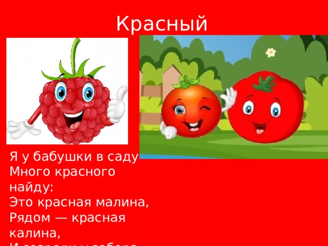 Красный Я у бабушки в саду  Много красного найду:  Это красная малина,  Рядом — красная калина,  И созрели у забора  Два красавца помидора. 