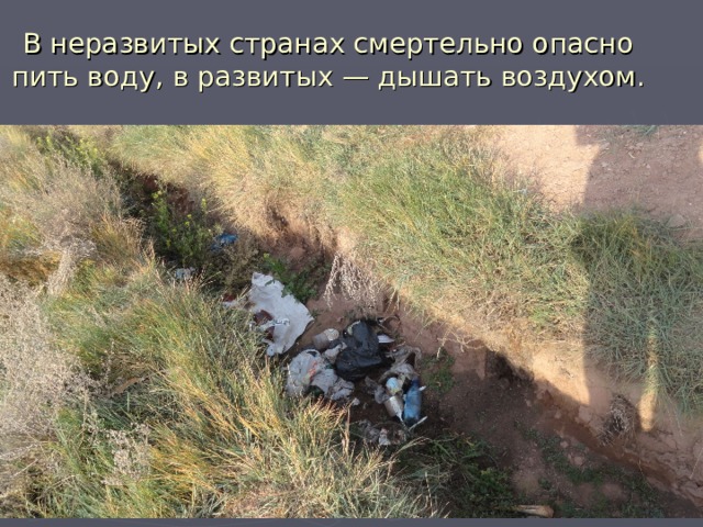 В неразвитых странах смертельно опасно пить воду, в развитых — дышать воздухом. 