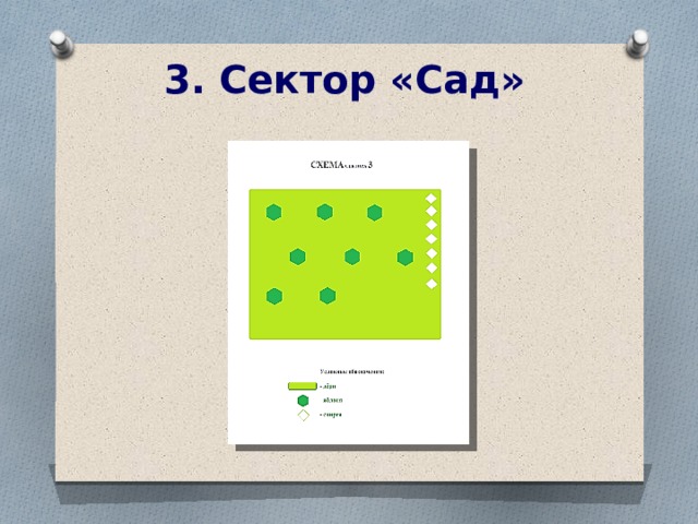 3. Сектор «Сад»  