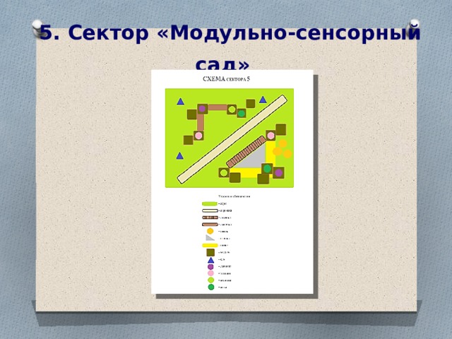 5. Сектор «Модульно-сенсорный сад»    