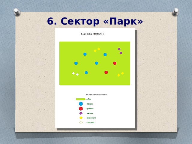 6. Сектор «Парк»  