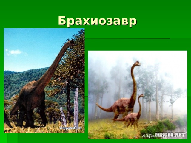 Когда жили динозавры видеоурок. Брахиозавр динозавр. Брахиозавр реконструкция. Брахиозавр для 1 класса. Брахиозавр окружающий мир.