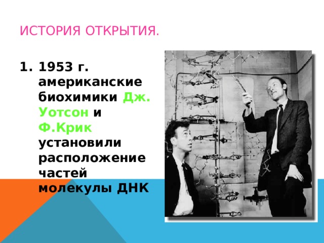 ИСТОРИЯ ОТКРЫТИЯ. 1953 г. американские биохимики Дж.  Уотсон и Ф.Крик установили расположение частей молекулы ДНК 