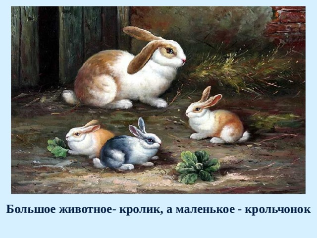Большое животное- кролик, а маленькое - крольчонок  