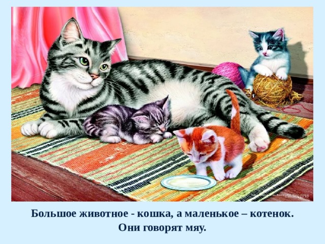 Большое животное - кошка, а маленькое – котенок.  Они говорят мяу. 