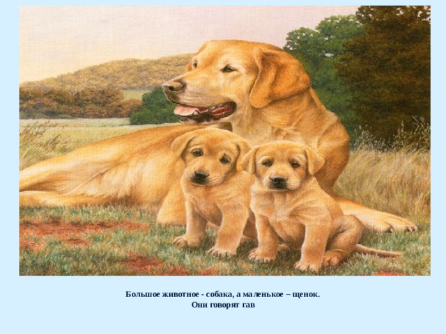 Большое животное - собака, а маленькое – щенок.  Они говорят гав   