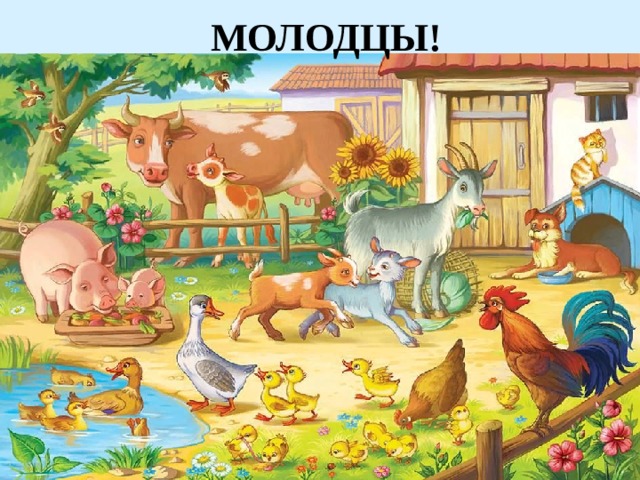 МОЛОДЦЫ! 