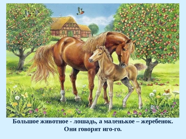 Большое животное - лошадь, а маленькое – жеребенок.  Они говорят иго-го. 
