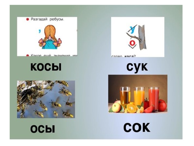 Картинка сук для детей