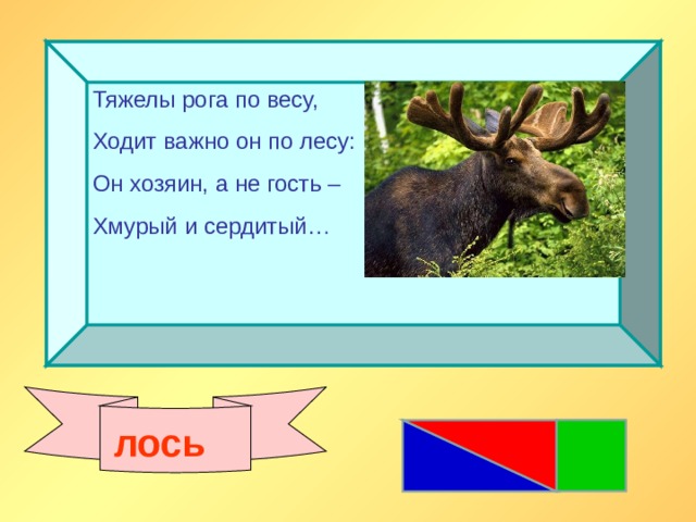 Важно ходит. Кто важно ходит из животных. Рога по английски. Кто важно ходит.