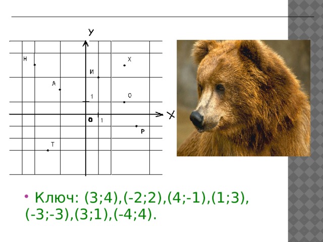 Как зовут медведя?   Ключ: (3;4),(-2;2),(4;-1),(1;3), (-3;-3),(3;1),(-4;4).  