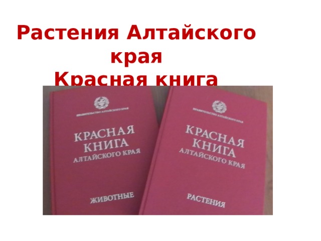 Растения Алтайского края  Красная книга