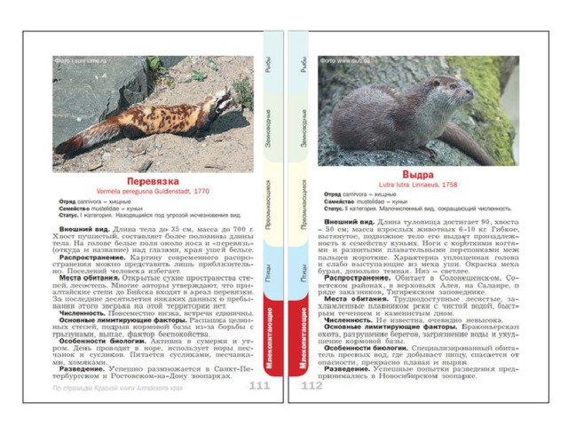 Красная книга алтайского края проект