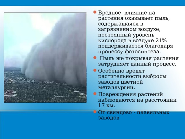 Вредное влияние на растения оказывает пыль, содержащаяся в загрязненном воздухе, постоянный уровень кислорода в воздухе 21% поддерживается благодаря процессу фотосинтеза.  Пыль же покрывая растения затрудняет данный процесс. Особенно вредят растительности выбросы заводов цветной металлургии. Повреждения растений наблюдаются на расстоянии 17 км. От свинцово - плавильных заводов 21 