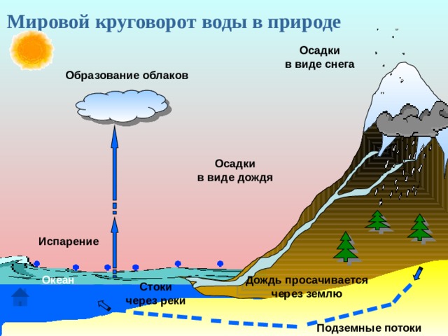 Образование осадков. Мировой круговорот воды в природе. Мировой круговорот в природе. Образование облаков. Этапы мирового круговорота воды.