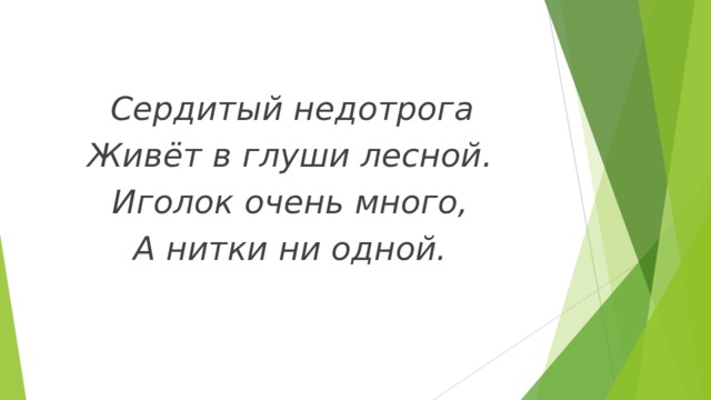   Сердитый недотрога Живёт в глуши лесной. Иголок очень много, А нитки ни одной. 