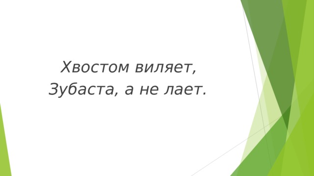 Хвостом виляет, Зубаста, а не лает. 