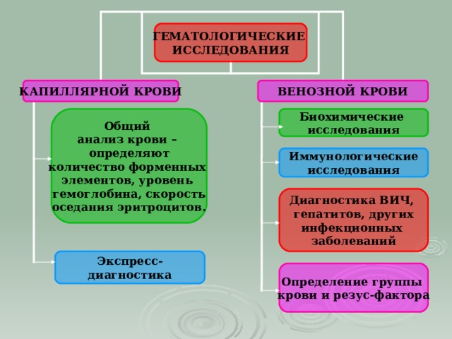 ГЕМАТОЛОГИЧЕСКИЕ ИССЛЕДОВАНИЯ ВЕНОЗНОЙ КРОВИ КАПИЛЛЯРНОЙ КРОВИ Общий анализ крови – определяют количество форменных элементов, уровень гемоглобина, скорость оседания эритроцитов. Биохимические исследования Иммунологические исследования Диагностика ВИЧ, гепатитов, других инфекционных заболеваний  Экспресс- диагностика Определение группы крови и резус-фактора 