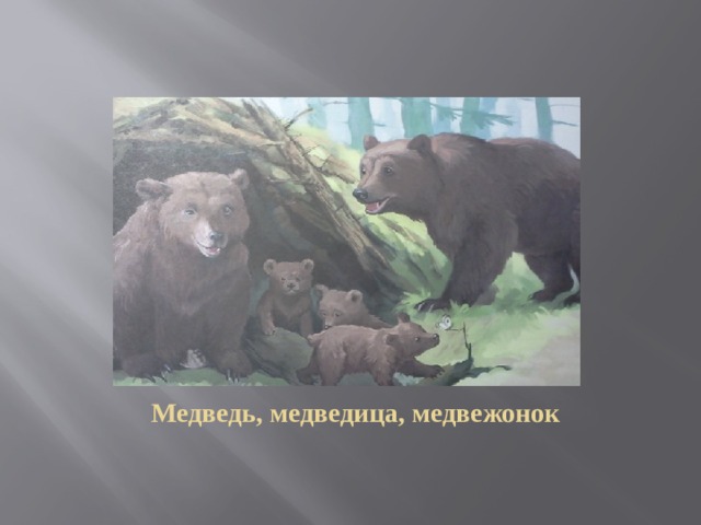 Медведь, медведица, медвежонок 