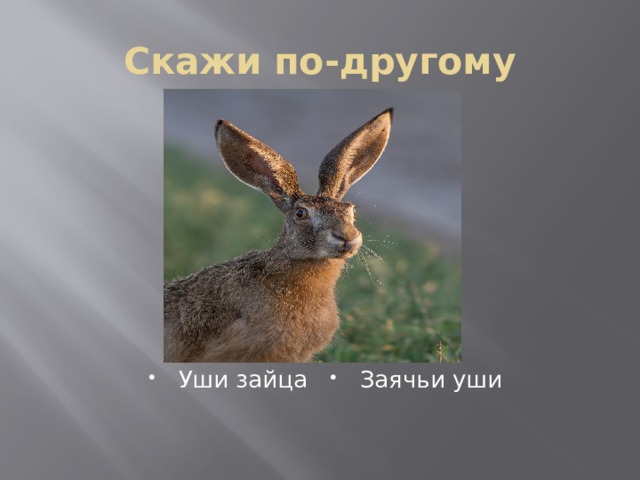Скажи по-другому Уши зайца Заячьи уши 