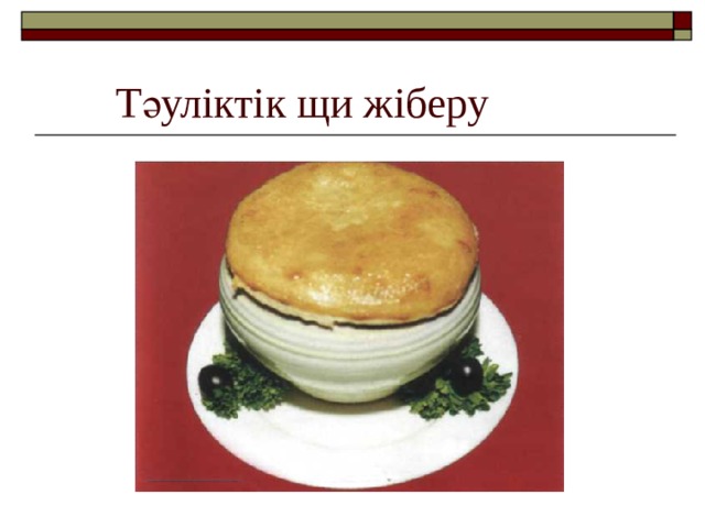 Тәуліктік щи жіберу 