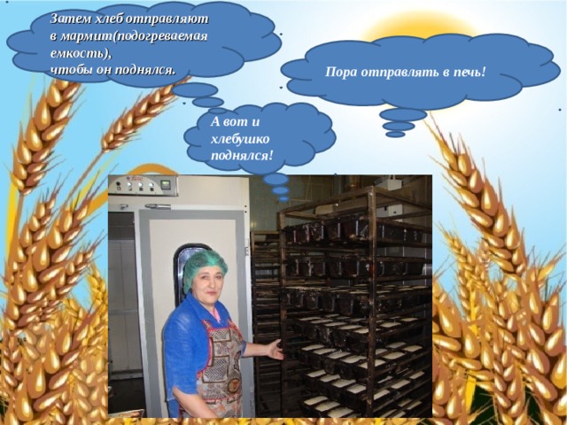 Затем хлеб отправляют в мармит(подогреваемая емкость), чтобы он поднялся. Пора отправлять в печь! А вот и хлебушко поднялся! 