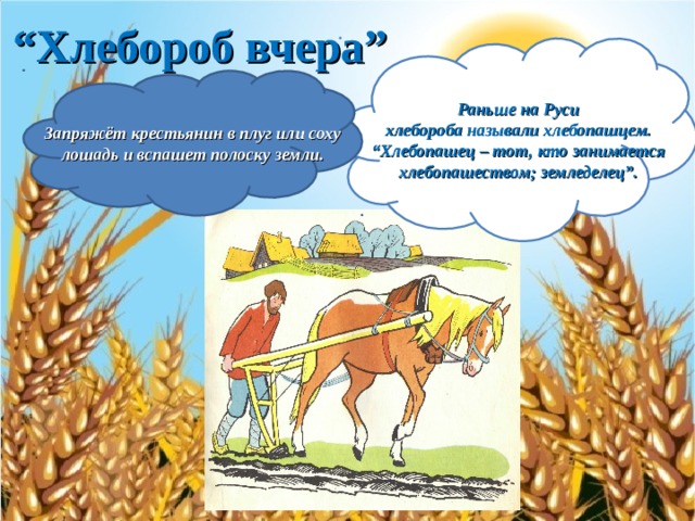 “ Хлебороб вчера” Раньше на Руси хлебороба называли хлебопашцем. “ Хлебопашец – тот, кто занимается хлебопашеством; земледелец”. Запряжёт крестьянин в плуг или соху лошадь и вспашет полоску земли. 