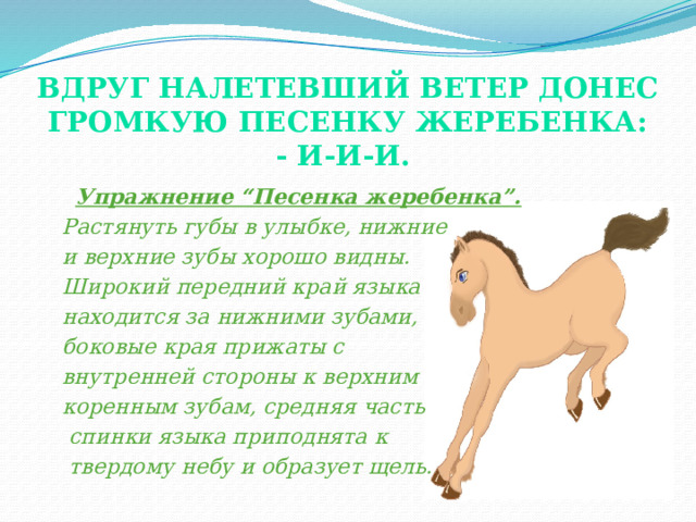 Вдруг налетевший ветер донес громкую песенку жеребенка:  - и-и-и.    Упражнение “Песенка жеребенка”.  Растянуть губы в улыбке, нижние  и верхние зубы хорошо видны.  Широкий передний край языка  находится за нижними зубами,  боковые края прижаты с  внутренней стороны к верхним  коренным зубам, средняя часть  спинки языка приподнята к  твердому небу и образует щель. Добиваясь правильности выполнения данного упражнения, легко можно поставить свистящие и йотированные звуки.  