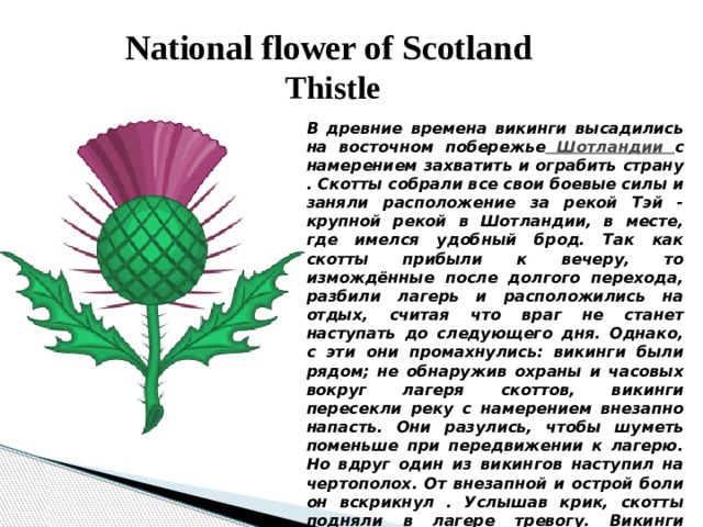 Что является символом шотландии. Символ Шотландии. Символ Шотландии цветок. Национальный символ Шотландии. Дуб символ Англии.